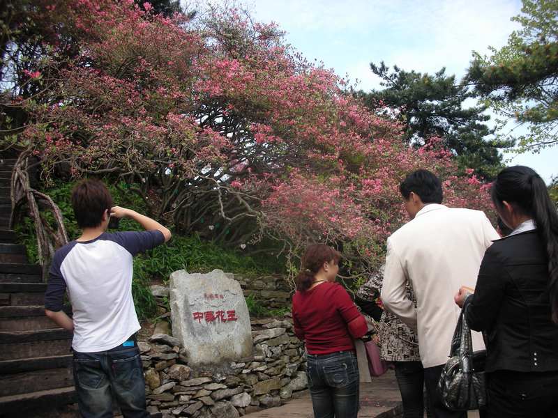 neo_img_dscn3837.jpg