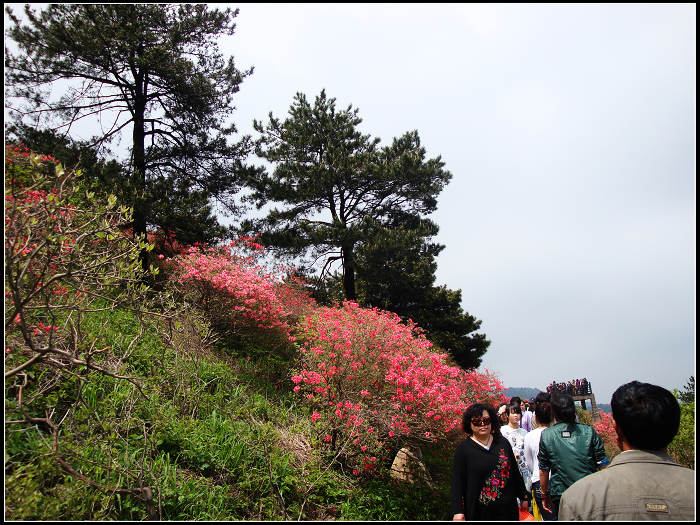 dsc04243.jpg