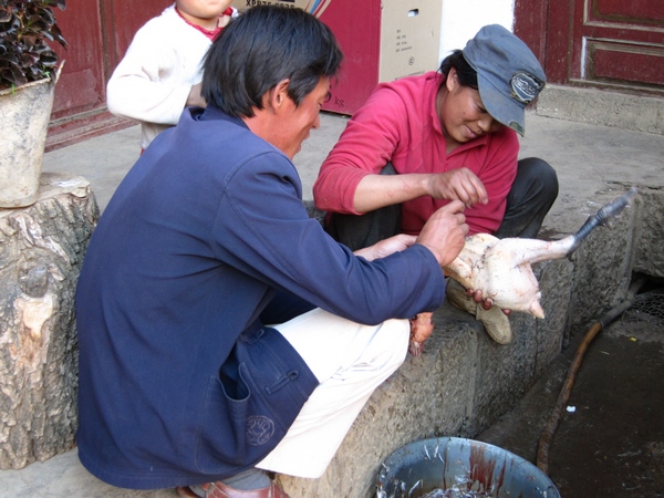 img_2571__1.jpg