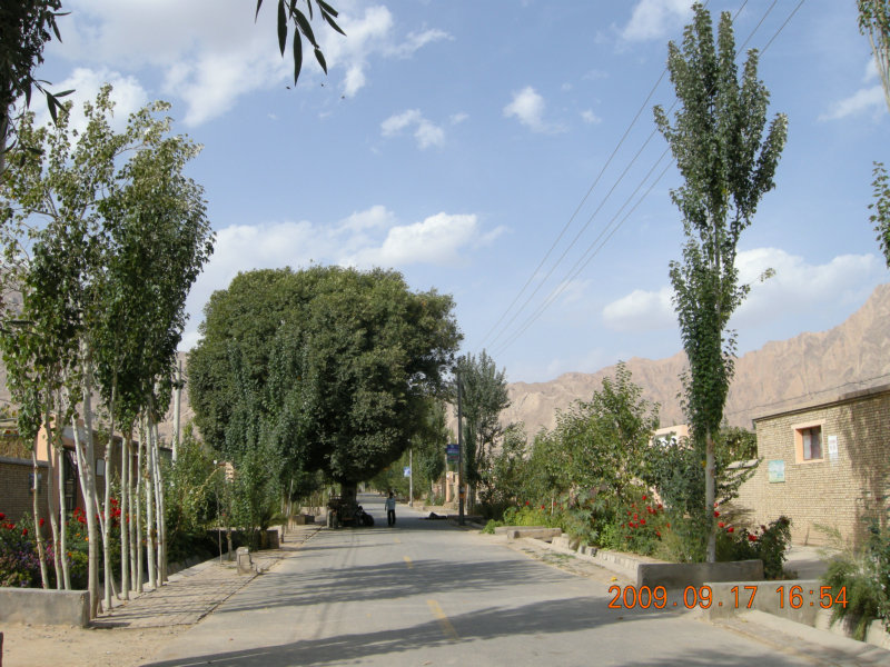 dscn3686.jpg