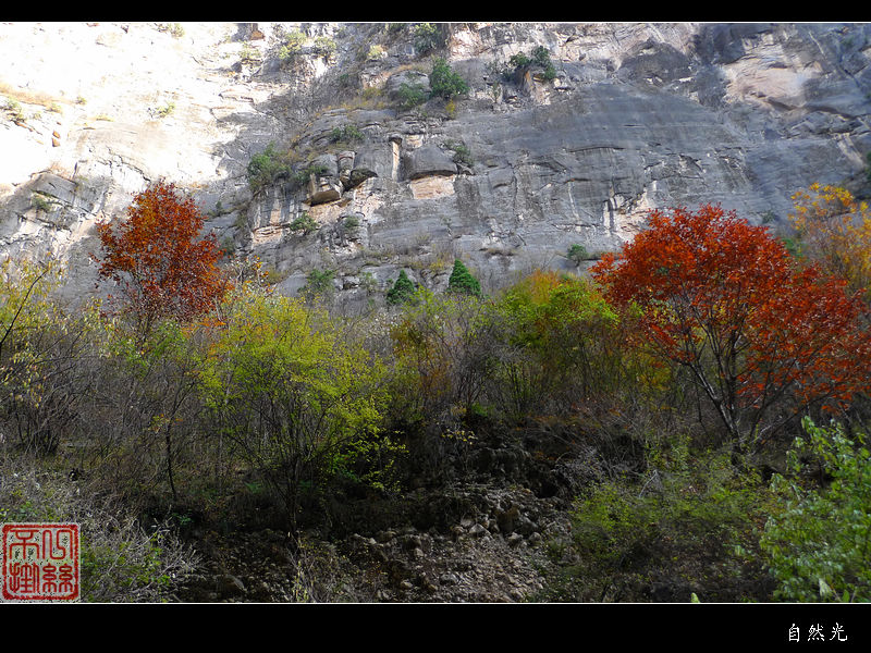l1070195.jpg