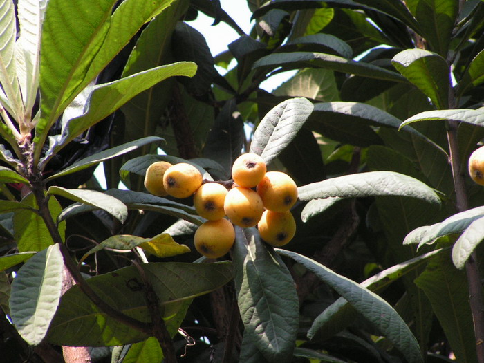 pict0048_С.jpg