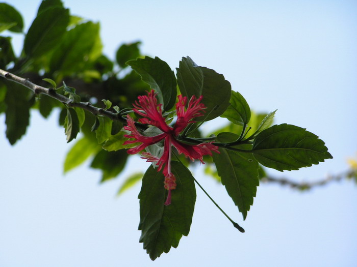 pict0053_С.jpg