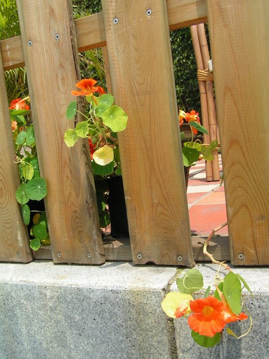 pict0063_С.jpg
