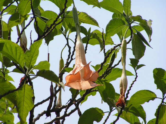 pict0071_С.jpg