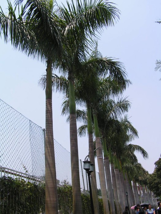 pict0077_С.jpg