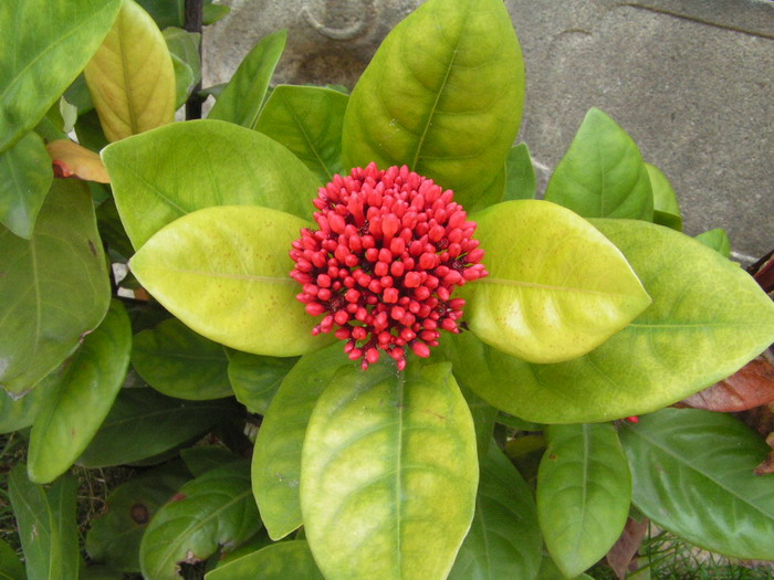pict0092_С.jpg