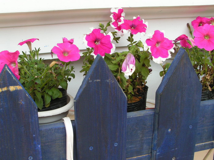 pict0102_С.jpg