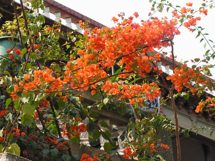 pict0131_С.jpg
