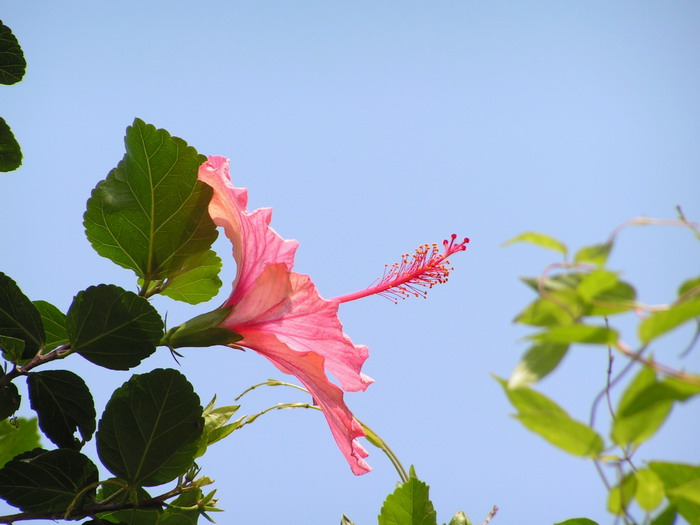 pict0038_С.jpg