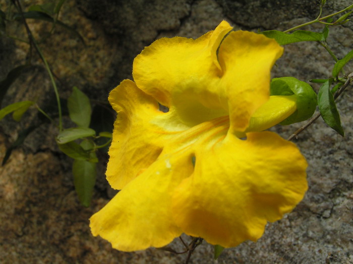 pict0041_С.jpg