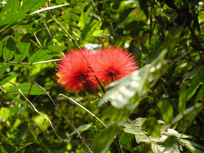 pict0043_С.jpg