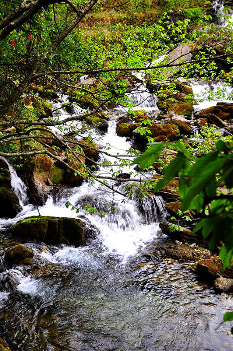 p6.jpg