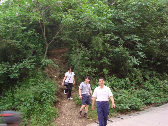 dsc04804.jpg