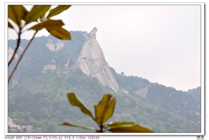 Ƭ 028.jpg