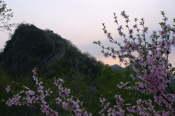 p1020769.jpg