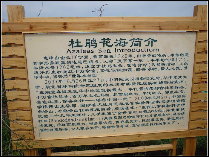 dsc04306.jpg