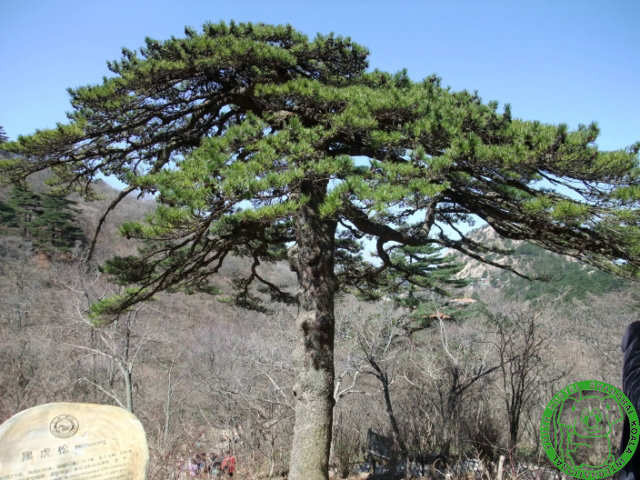 dscf1176 640x480.jpg