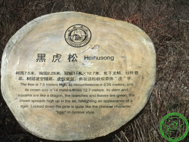 dscf1175 640x480.jpg