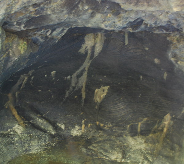 dsc_0062.jpg