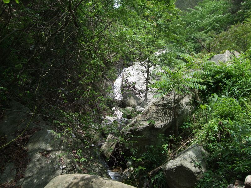 neo_img_dscf0038.jpg