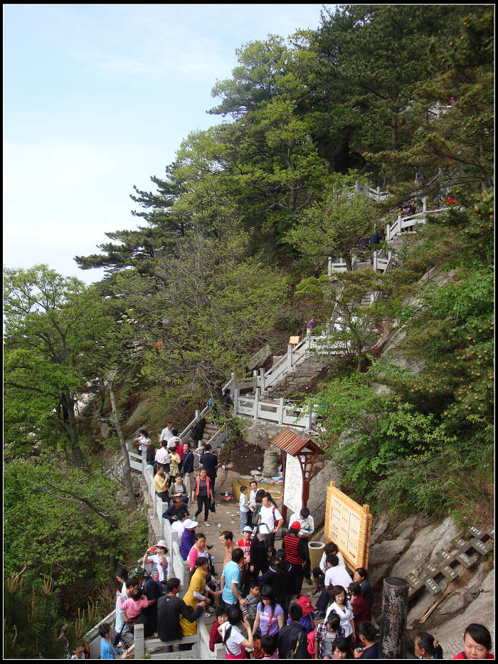 dsc04382.jpg