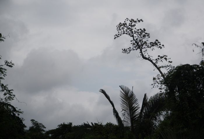 img_3364.jpg