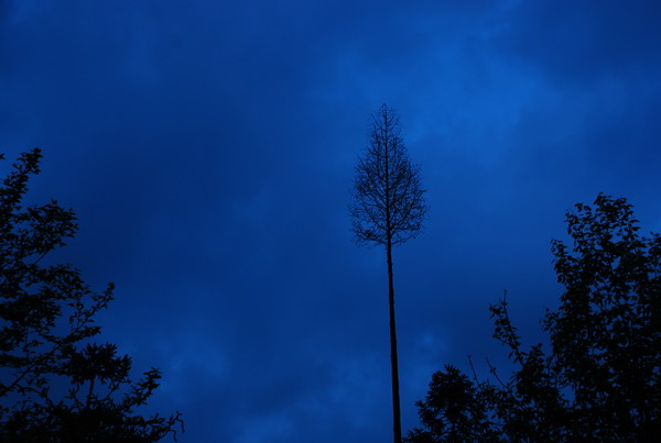 dsc_0288.jpg