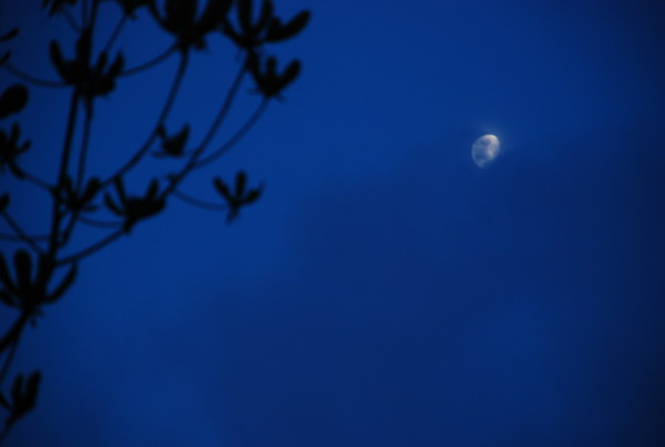dsc_0285.jpg