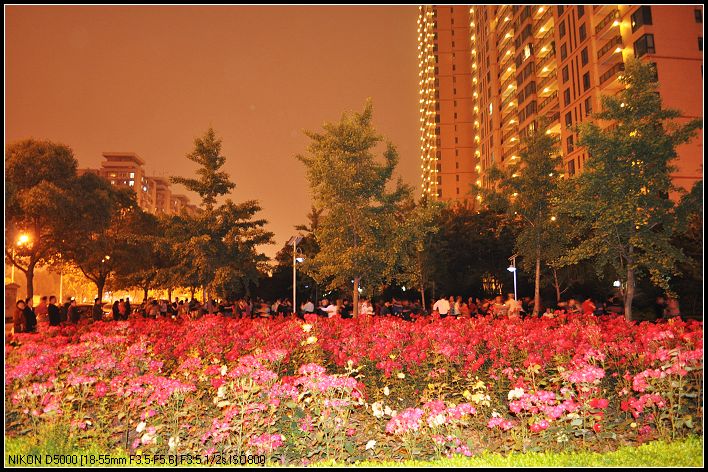 dsc_0074_neo_img.jpg