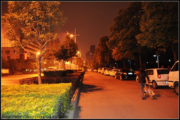dsc_0076_neo_img.jpg