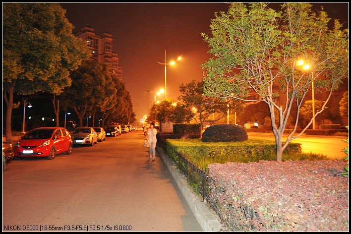 dsc_0078_neo_img.jpg
