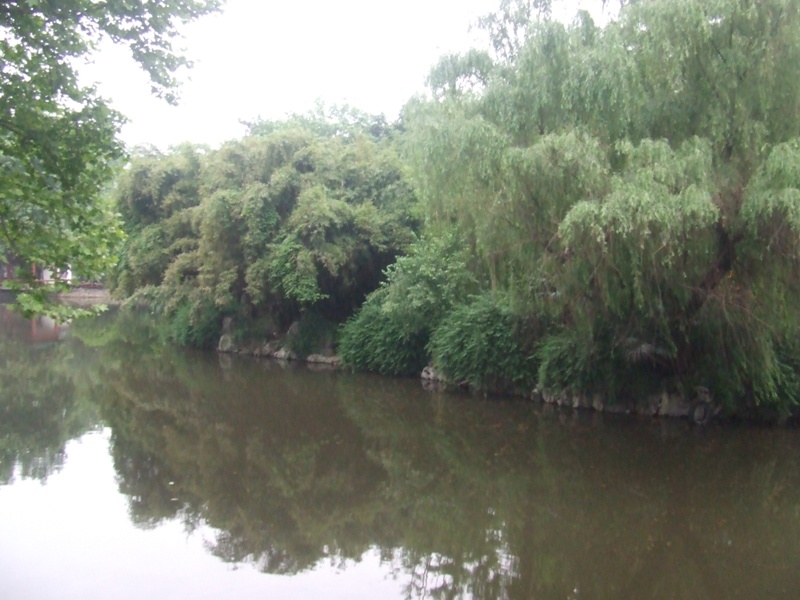 dscf1438.jpg
