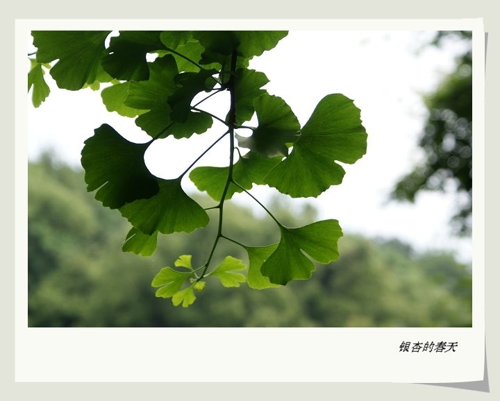 dsc03917.jpg