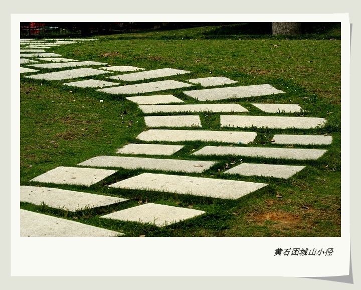 dsc03920.jpg