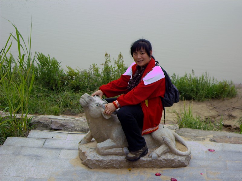 bigbull_img_9374.jpg