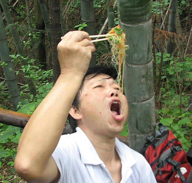 25.jpg