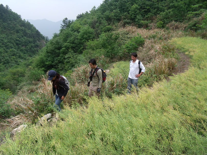 2010-5-15ž黨 014.jpg