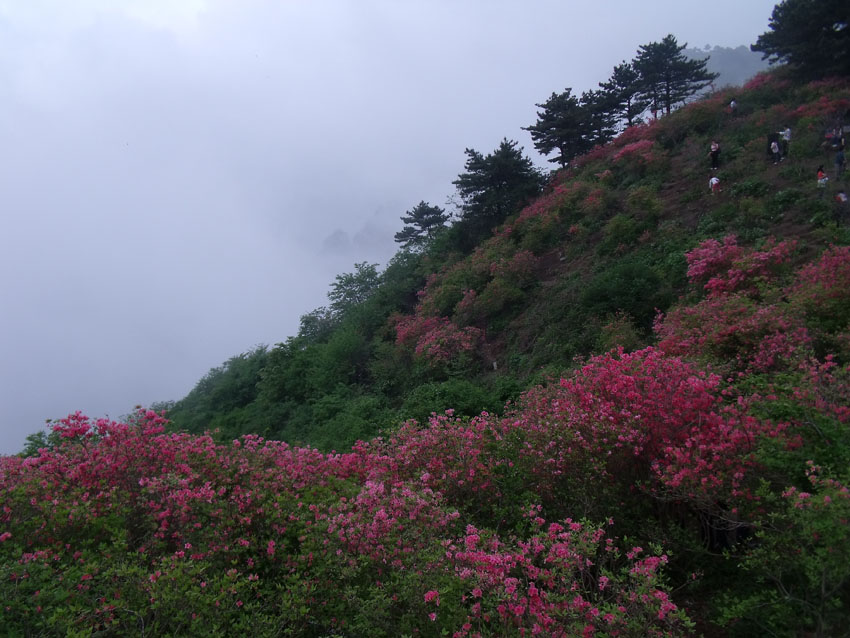 2010-5-15ž黨 137.jpg