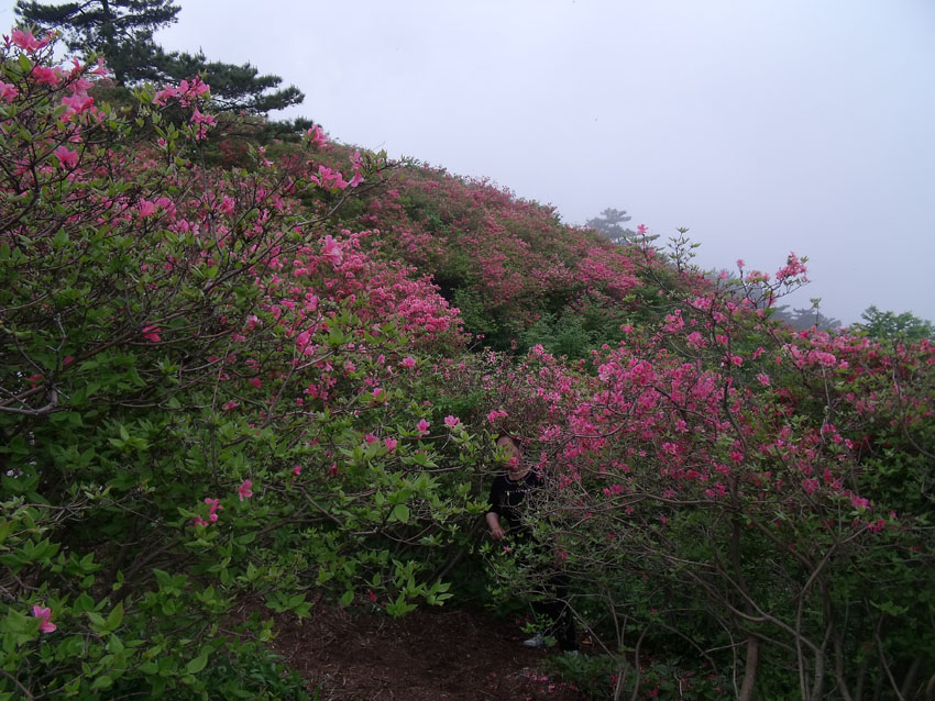 2010-5-15ž黨 143.jpg