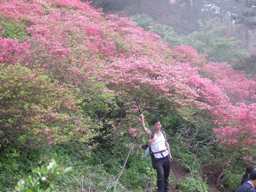 2010-5-15ž黨 181.jpg