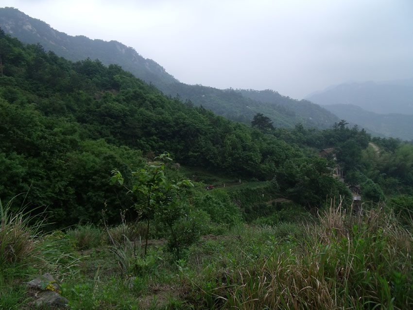 2010-5-15ž黨 022.jpg