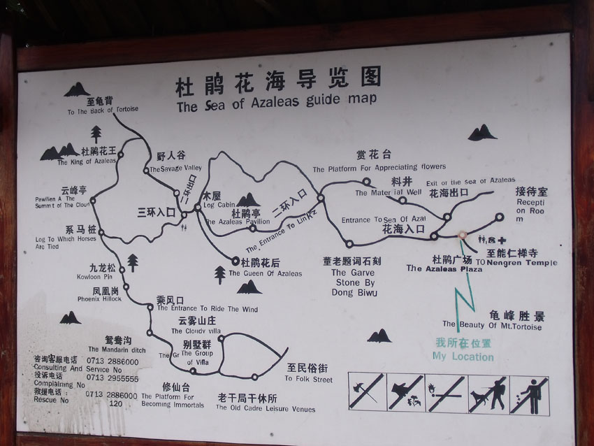 2010-5-15ž黨 132.jpg