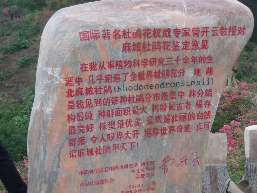 2010-5-15ž黨 133.jpg