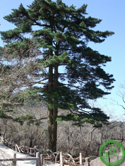 dscf1179 640x480.jpg