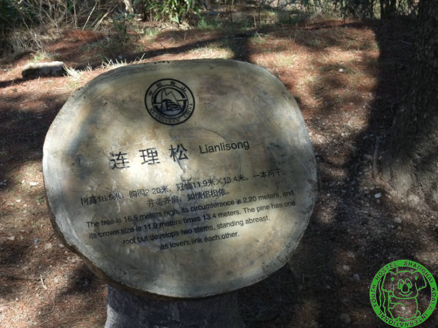 dscf1177 640x480.jpg