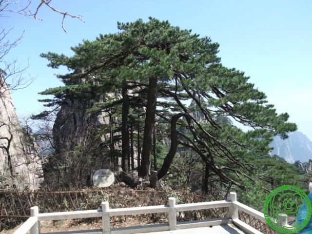 dscf1181 640x480.jpg