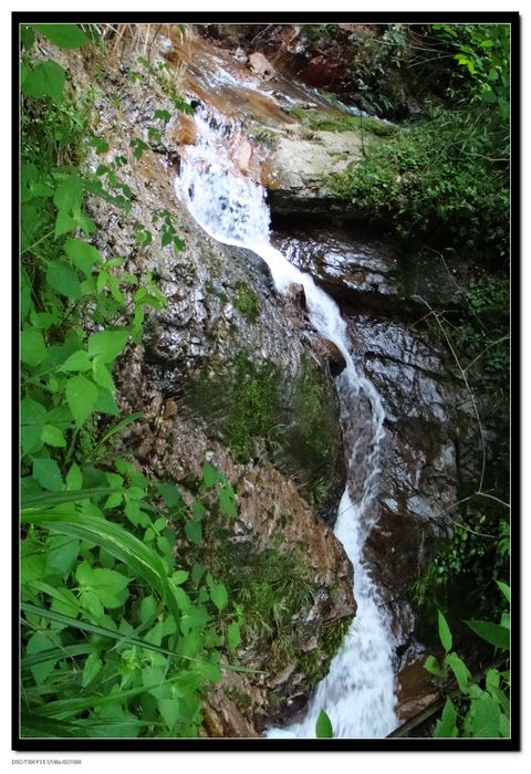 dsc05648.jpg