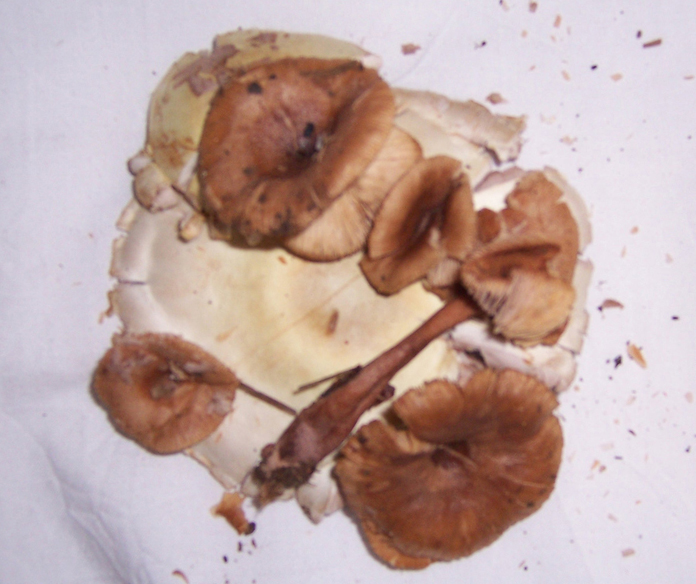 20100516 007.jpg