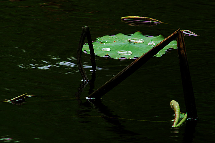 imgp2015.jpg